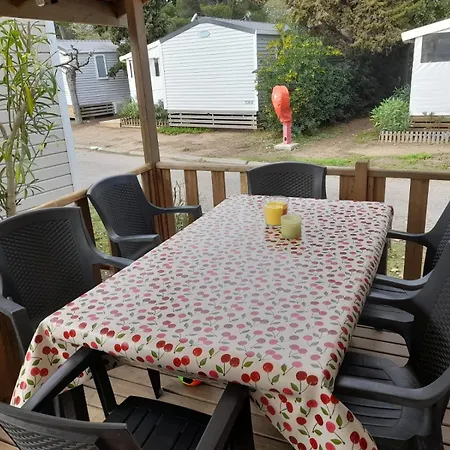 Mobil-home L50 *